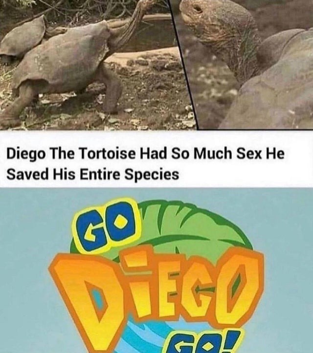 diego is a hero - meme