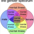 The gender spectrum