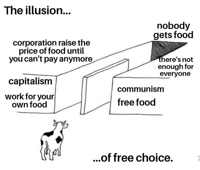 The illusion of free choice - meme