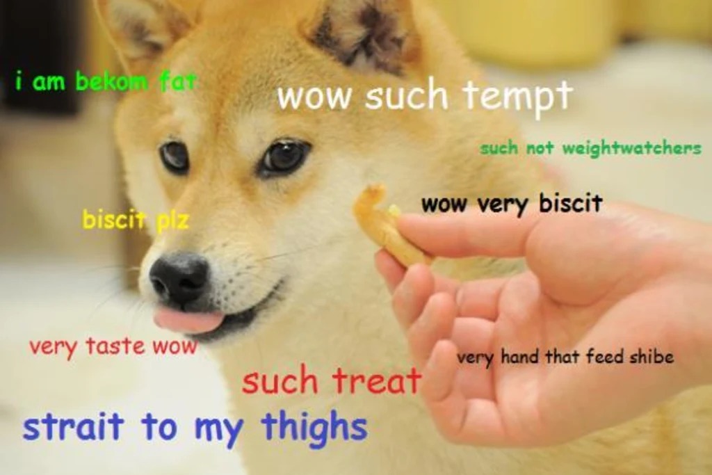 wow very doge such meme