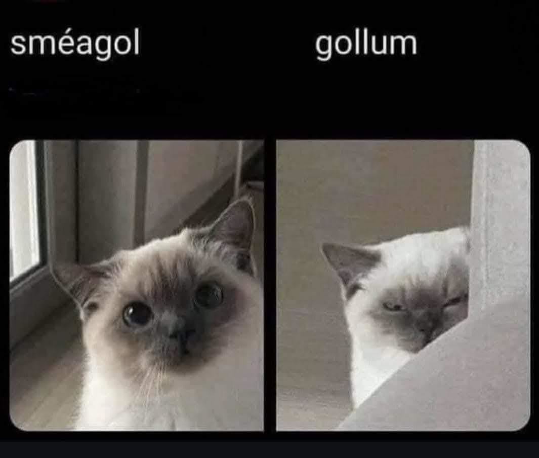 Gollum vs Smeagol: one brain cell fight night - meme