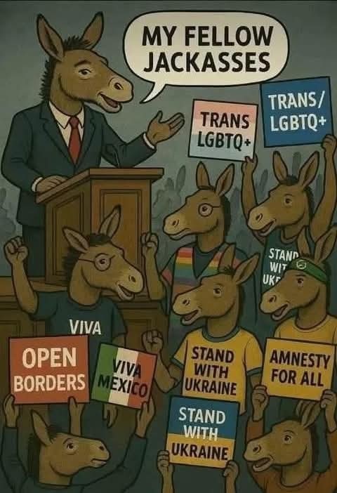Average liberal meeting on a Tuesday - meme