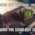 Good Boy Pepe