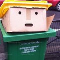 Make recycling great again