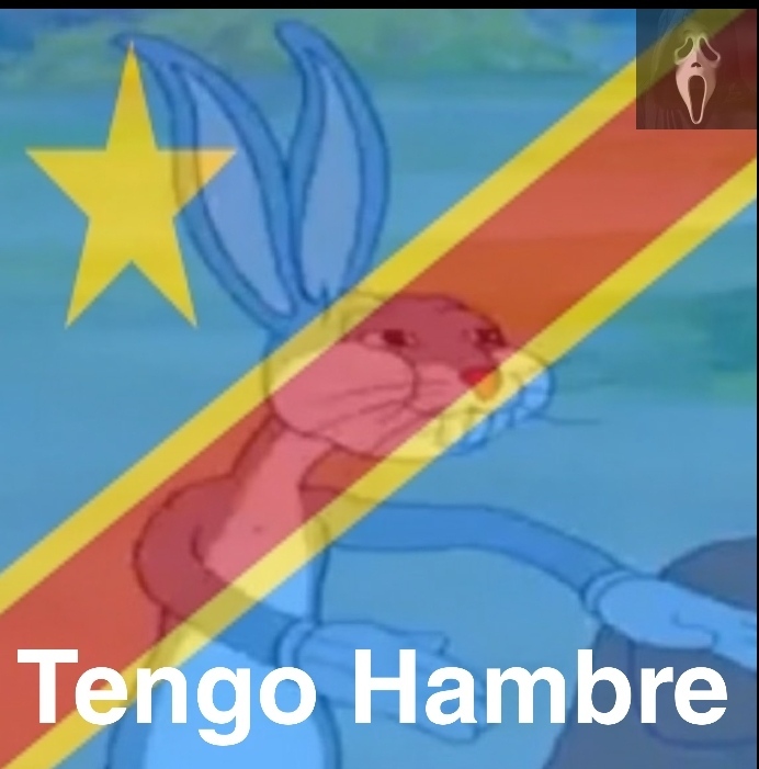 Pobres congoleses democraticos - meme