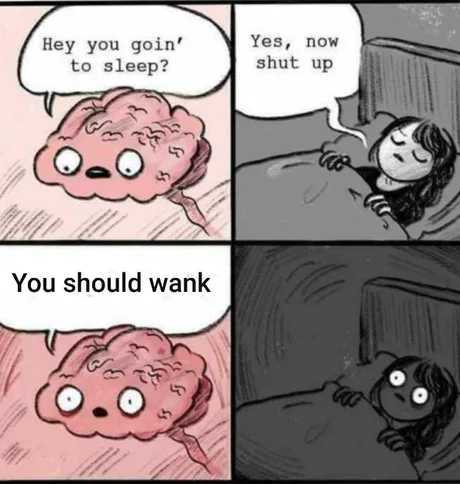 Wank :Best insomnia killer - meme