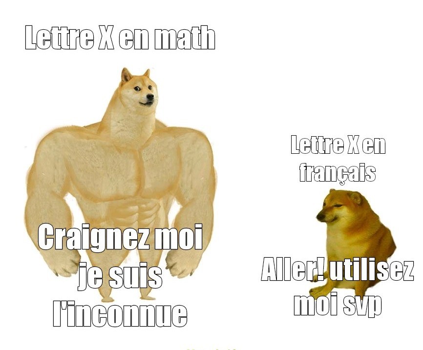 Le X - meme