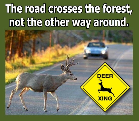 Deer Xing - meme