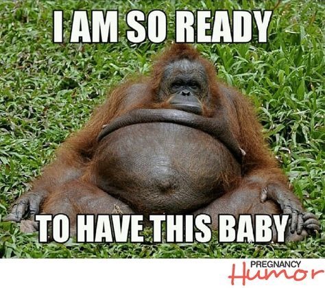 Monkey after 5 seconds of pregnancy be like - meme
