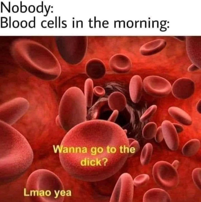 Morning boooner - meme