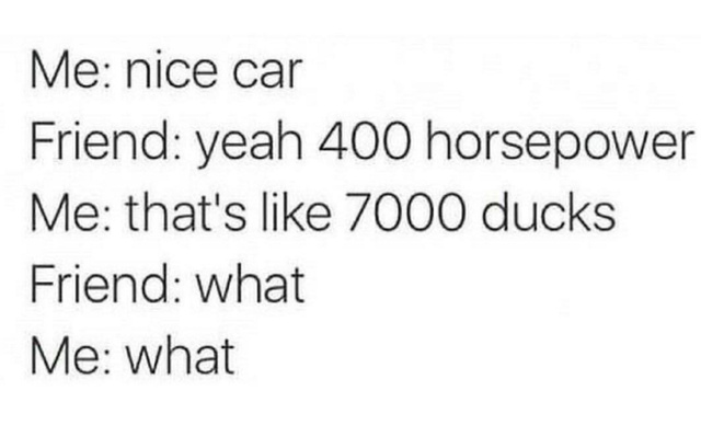 1 horse: 17.5 ducks - meme