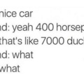 1 horse: 17.5 ducks