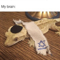 Jewish Lizards