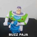 Buzz paja