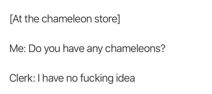 Chameleon - meme