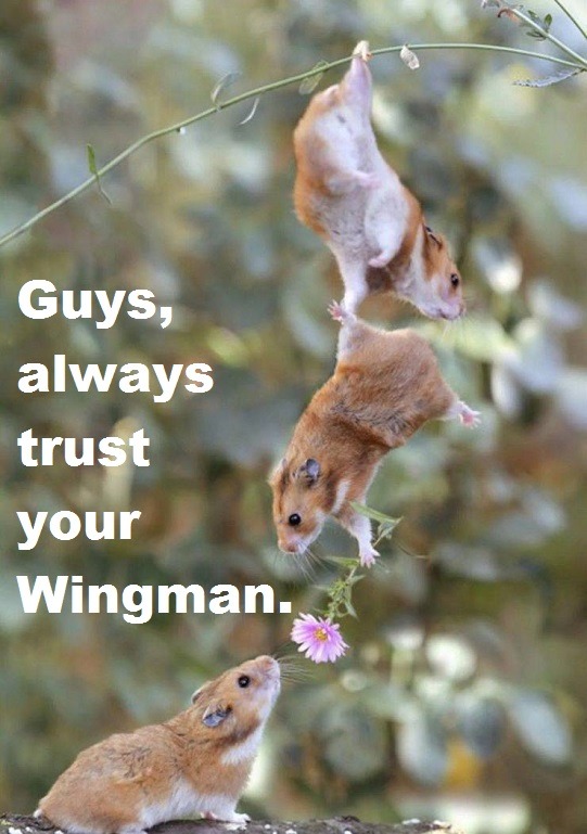 Wingman - meme