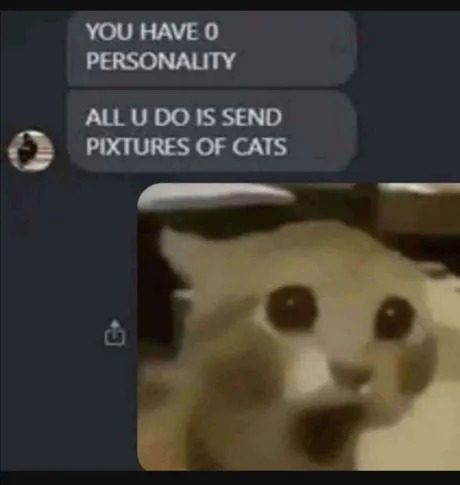 average cat enjoyer - meme