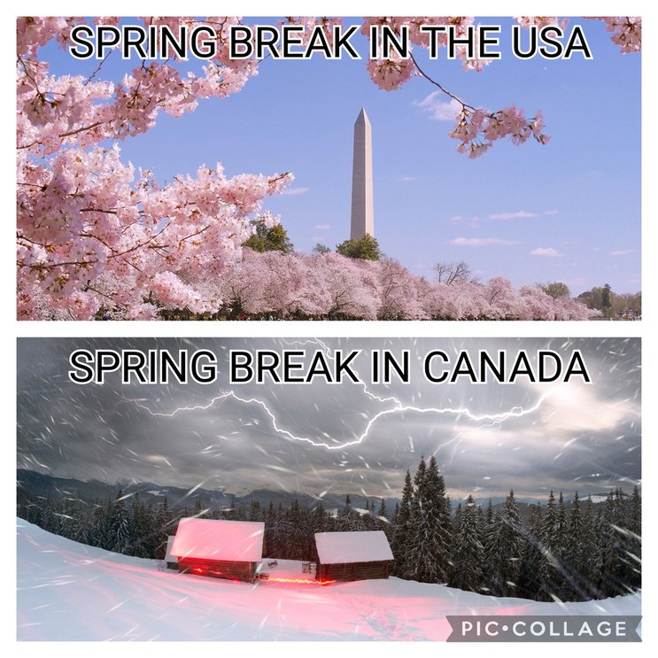 Spring Break in the USA vs in Canada - meme