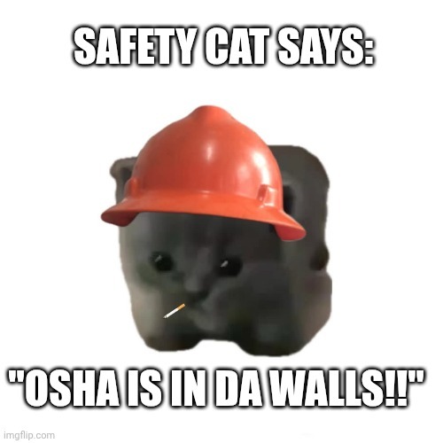 SAFETY CAT SAYS - meme