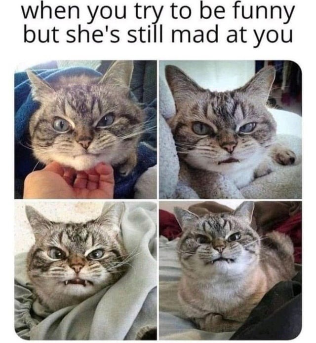 Tried a joke, got a cold stare instead - meme