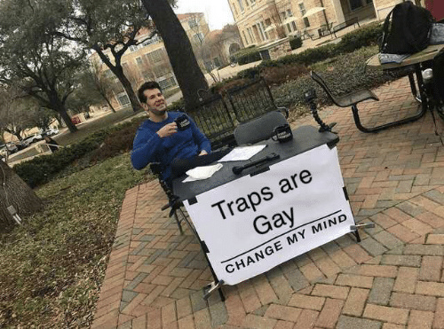 Liking Traps is Gay and so am I - meme