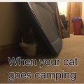 When your cat goes camping. XD