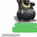 biggie cheese in the house