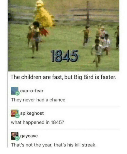 big bird will get ya - meme