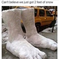 2 whole feet