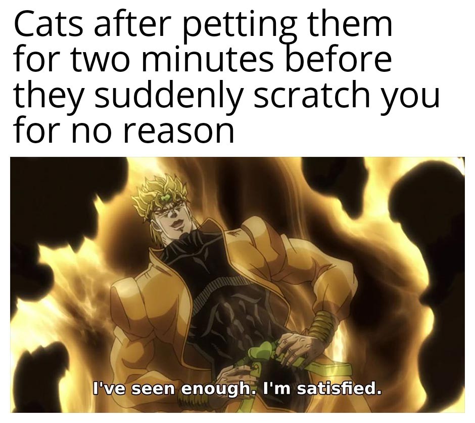 Cats are bipolar but I love the little things - meme