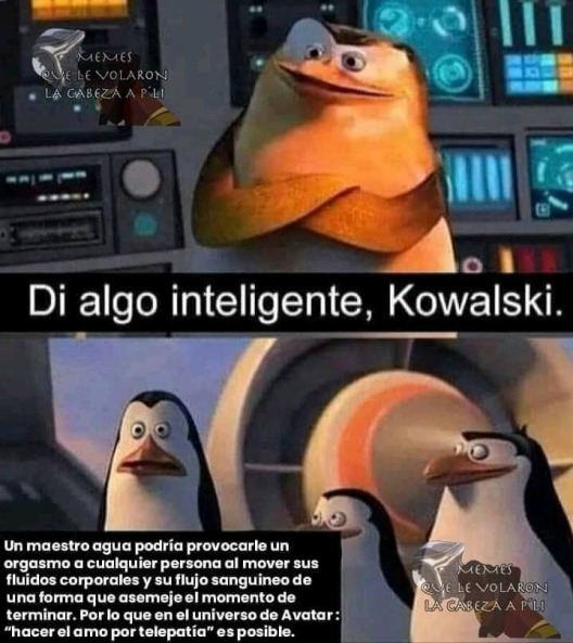 Kowalski enfermo - meme