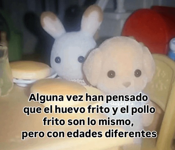 meme huevo vs pollo
