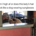 I can see a dog