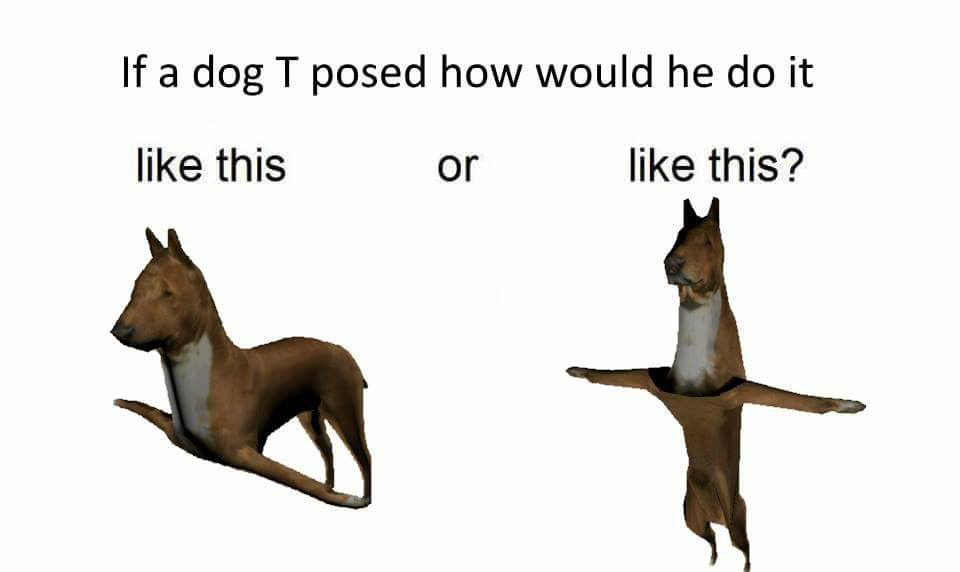 "Se um cão fizesse T-pose, seria assim ou assim?" - meme