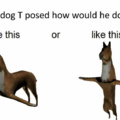 "Se um cão fizesse T-pose, seria assim ou assim?"