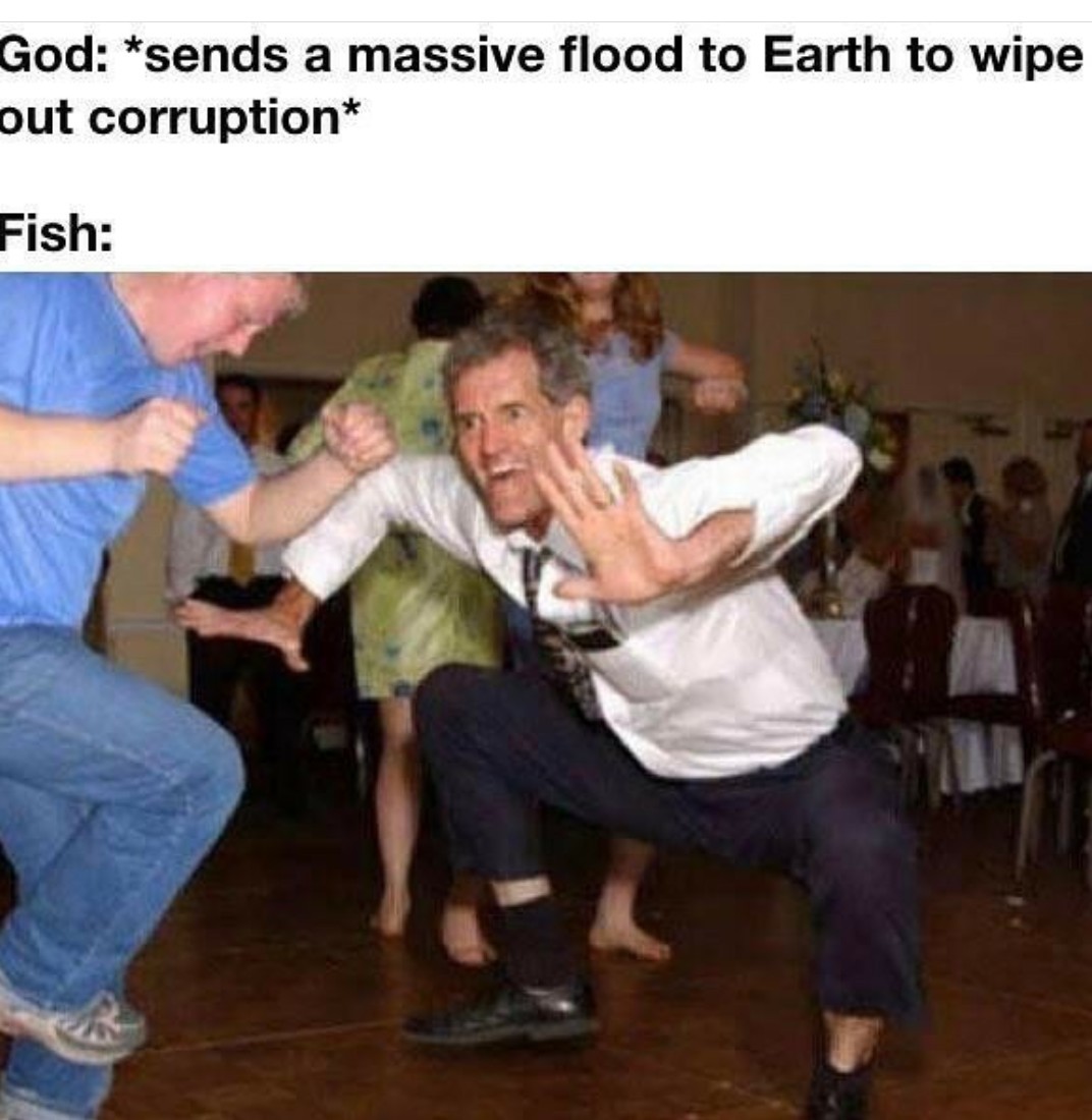 Flood - meme