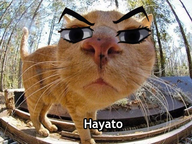 Hayato - meme