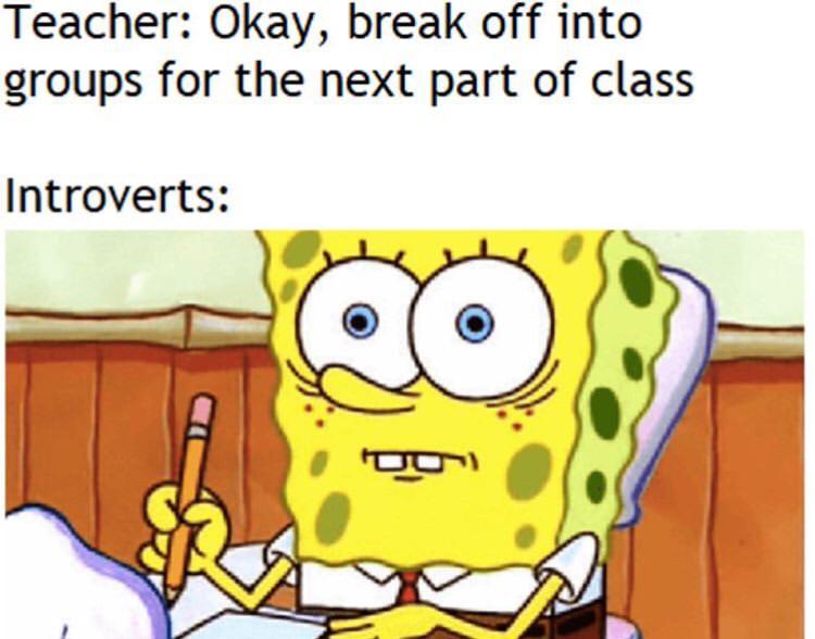 THAT one introvert - meme