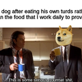 culinary dog