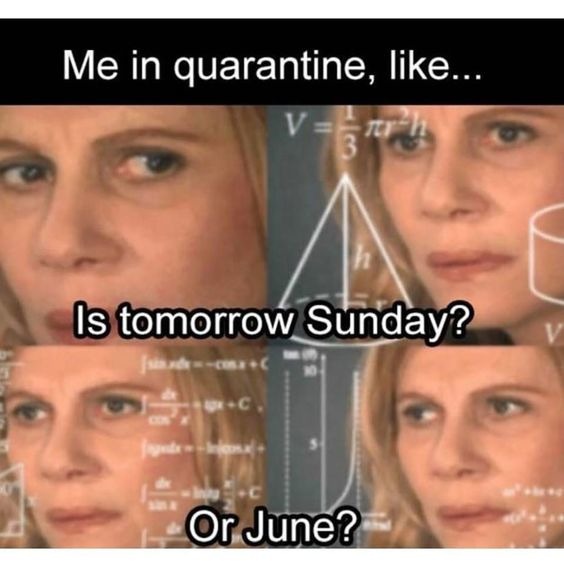 quarantine meme