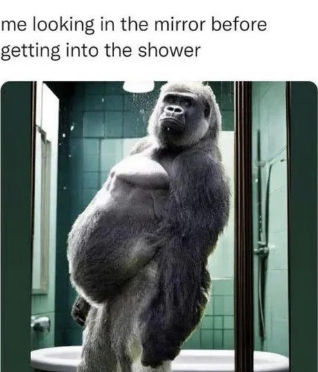 Beast before shower - meme