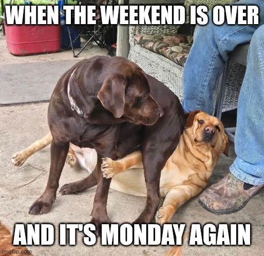 When the weekend disappears like it owes you money - meme