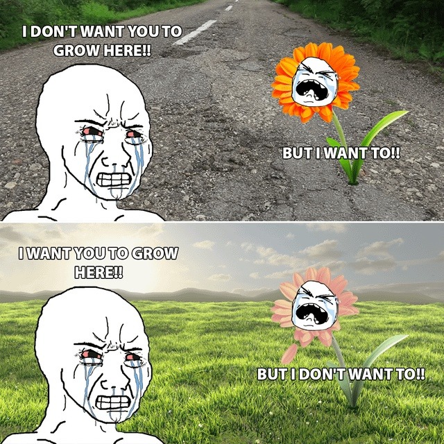 Wanting you to grow, but not quite here, not yet - meme