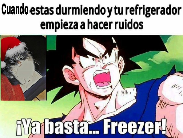 Freezer - meme