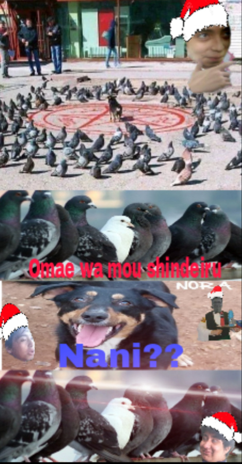 Feliz navidad hijos de perras - meme