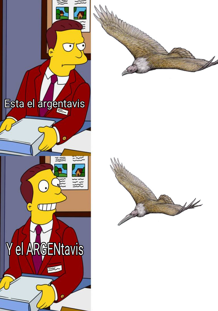 Argentavis - meme