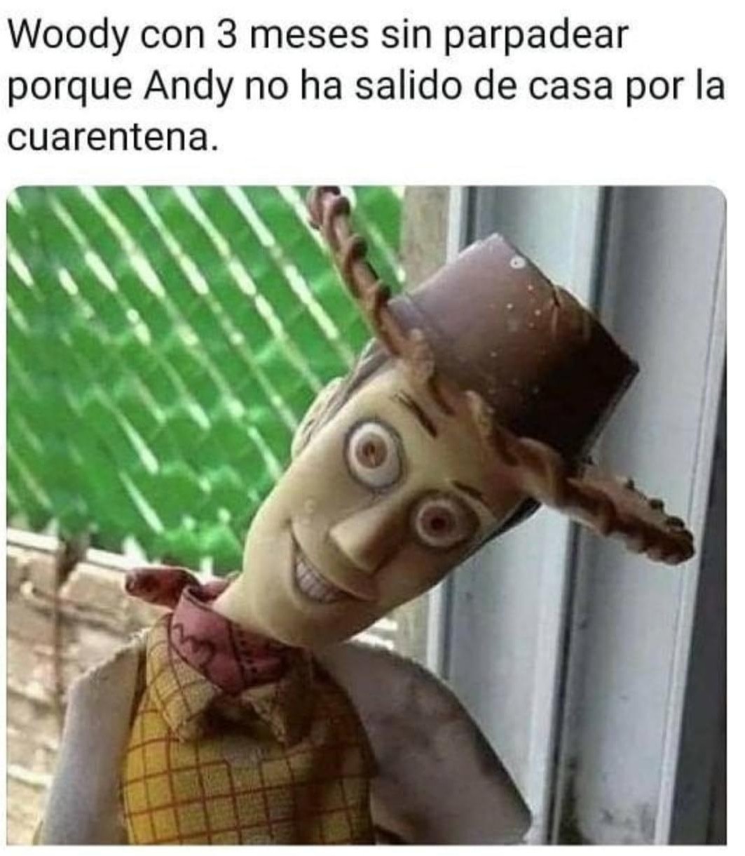 Woody - meme