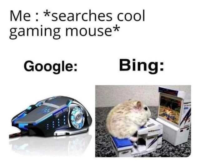 Google vs bing - meme