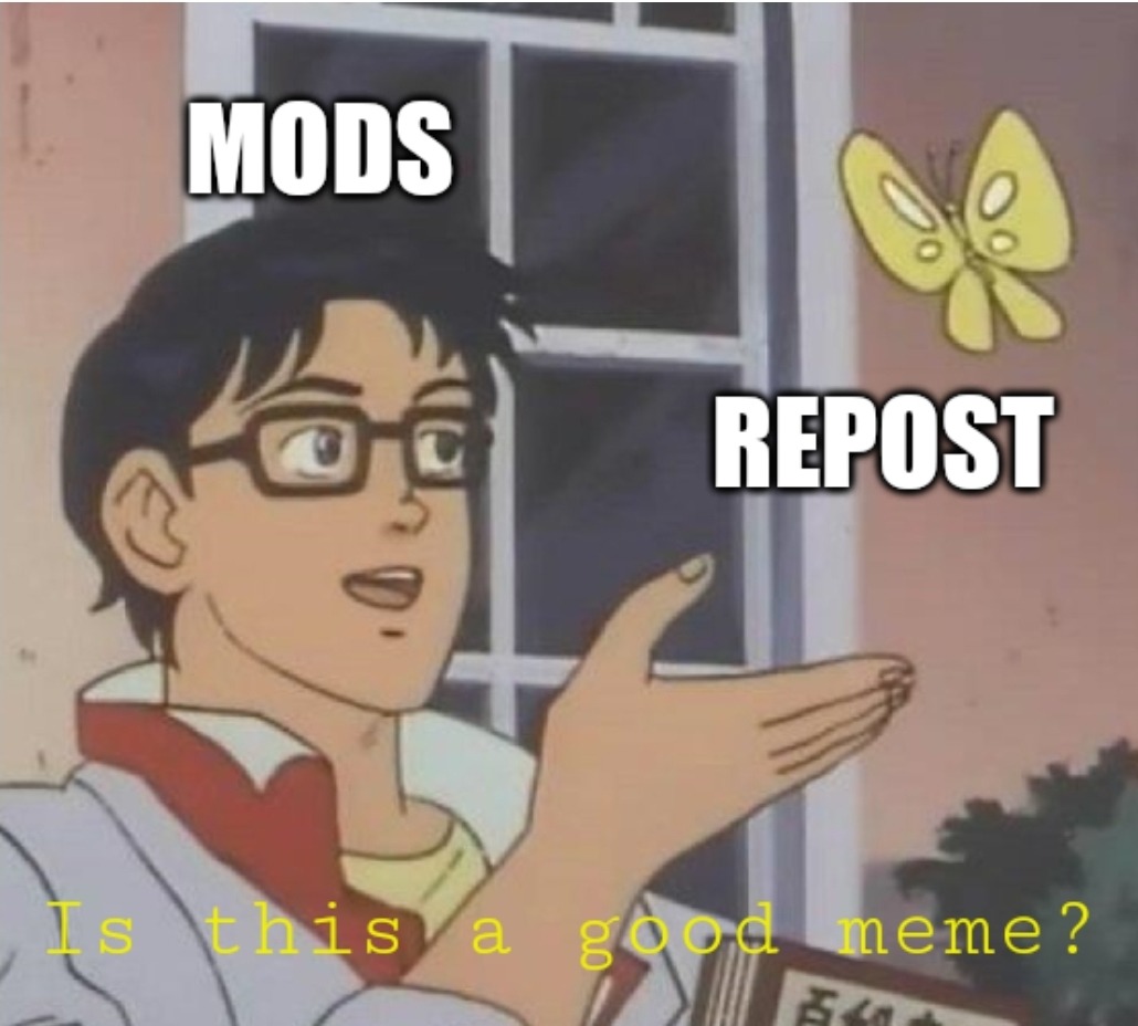 Mods are dumb - meme