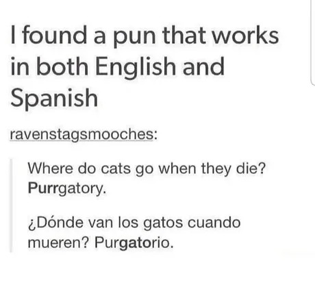 Pun that works in both English and Spanish - meme